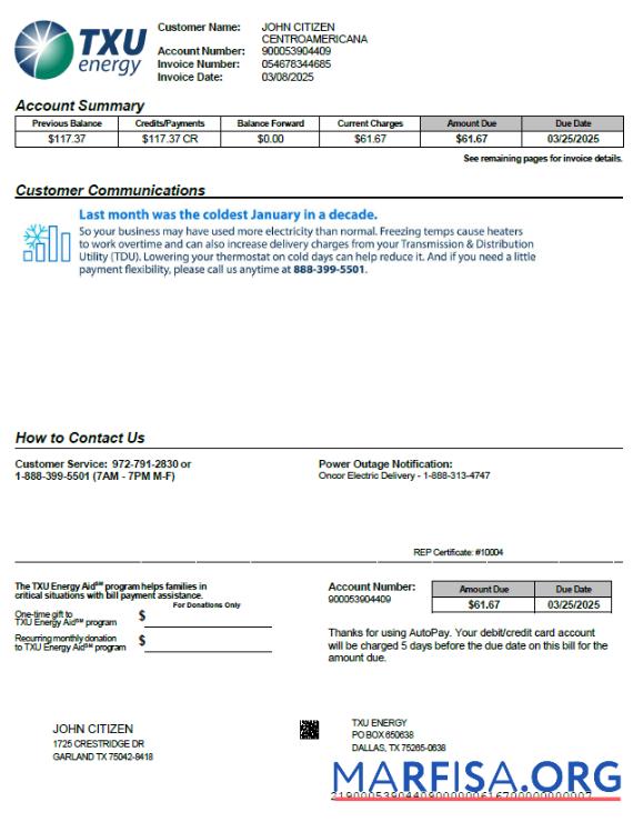 Blank USA TXU Energy utility bill template in Word and PDF formats, version 4